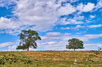 Countryside, farmland and forest - close to Lyon, France