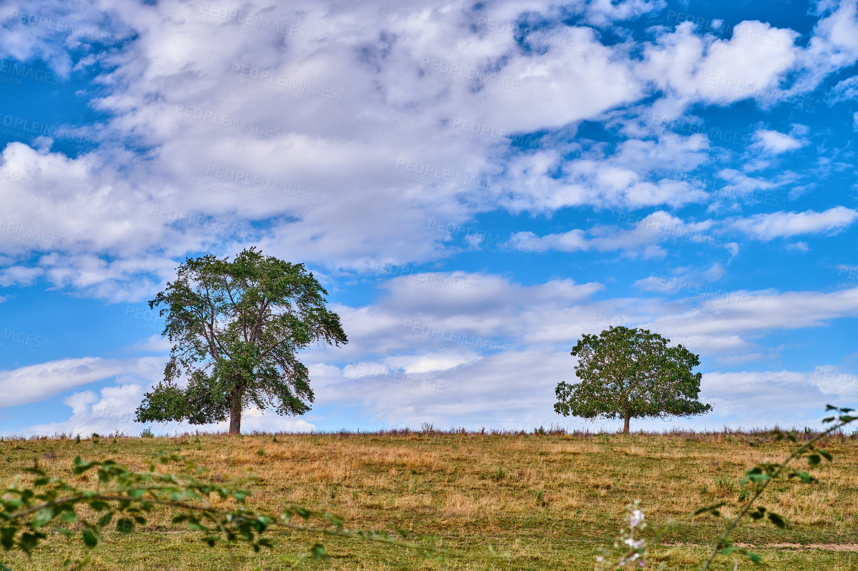 Buy stock photo A series of photos of countryside, farmland and forest close to Lyon, France