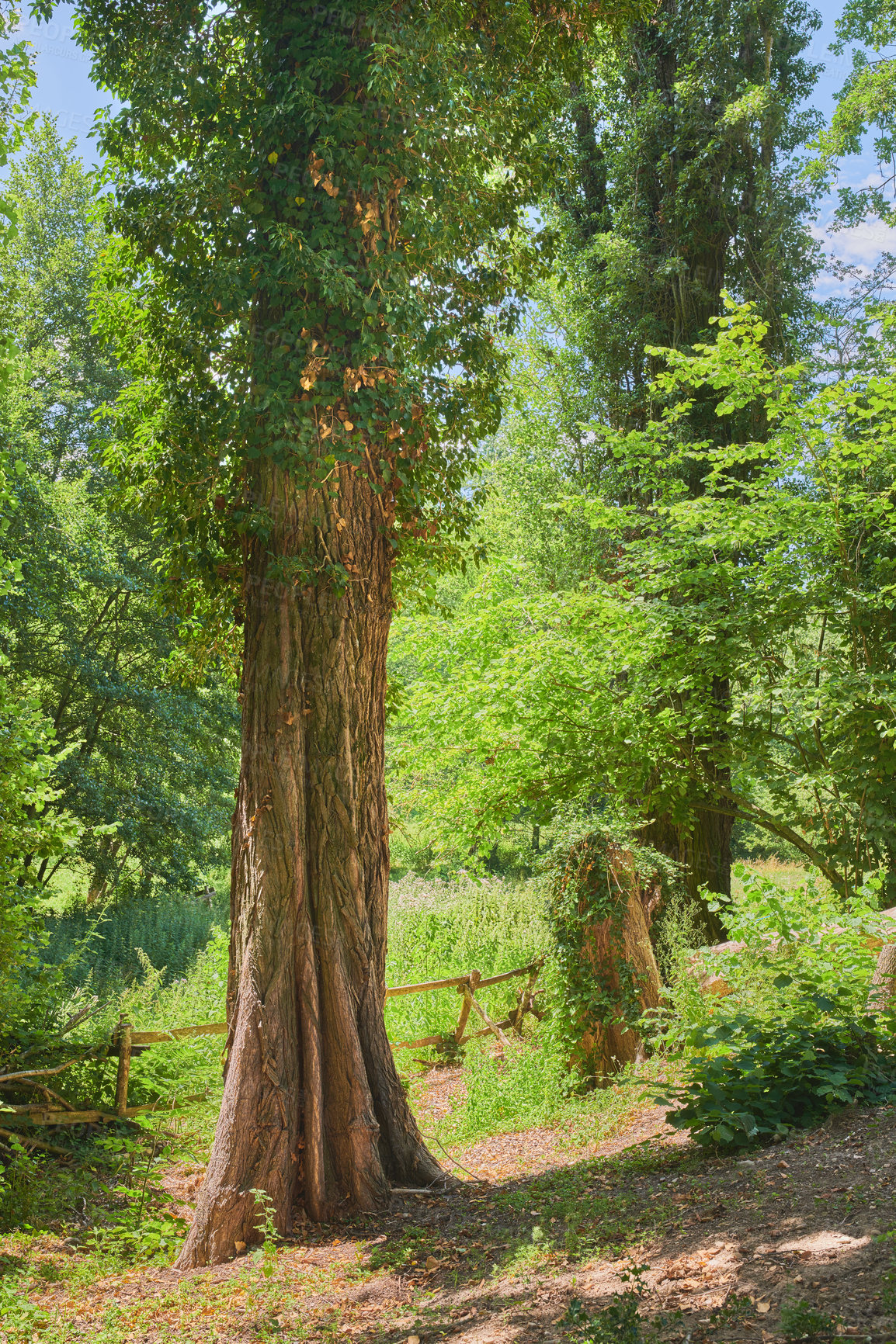 Buy stock photo A series of photos of countryside, farmland and forest close to Lyon, France