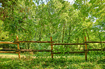 Countryside, farmland and forest - close to Lyon, France