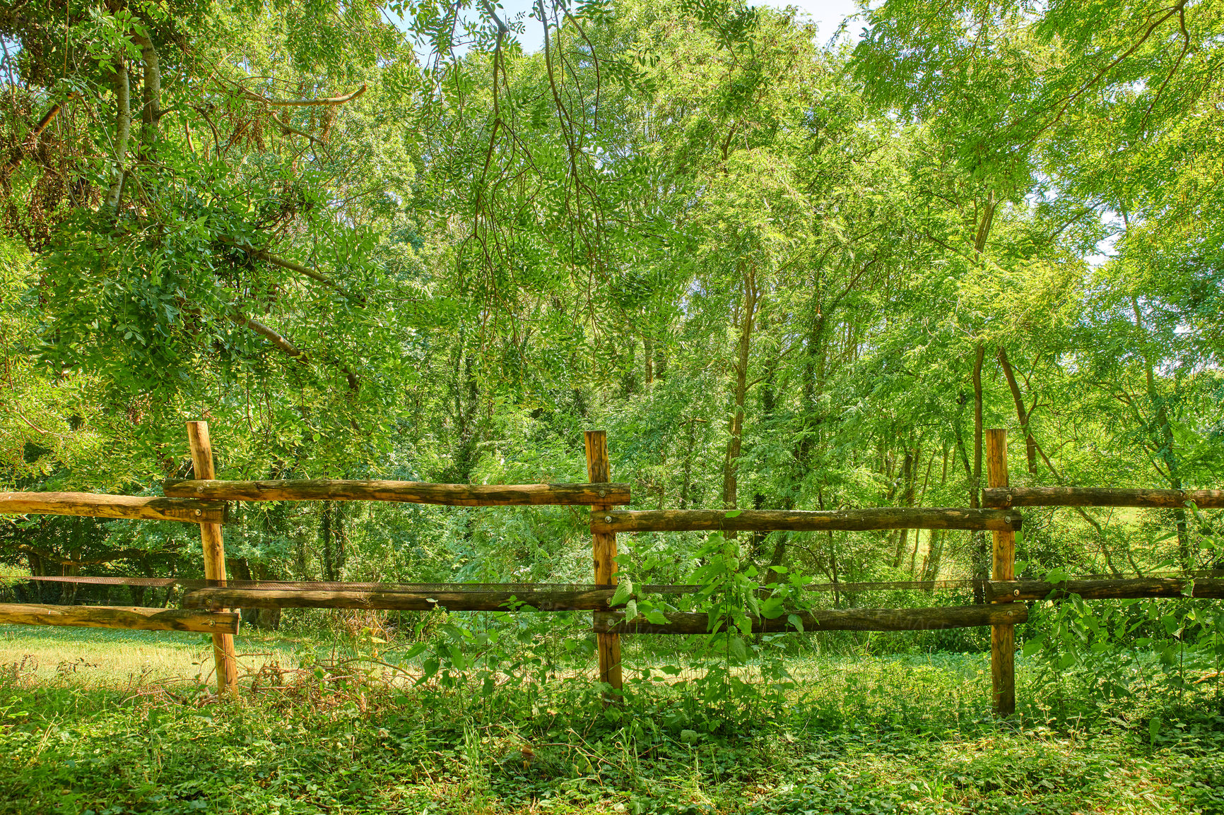 Buy stock photo A series of photos of countryside, farmland and forest close to Lyon, France