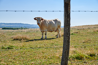 Countryside, farmland and forest - close to Lyon, France