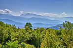 Countryside, farmland and forest - close to Lyon, France