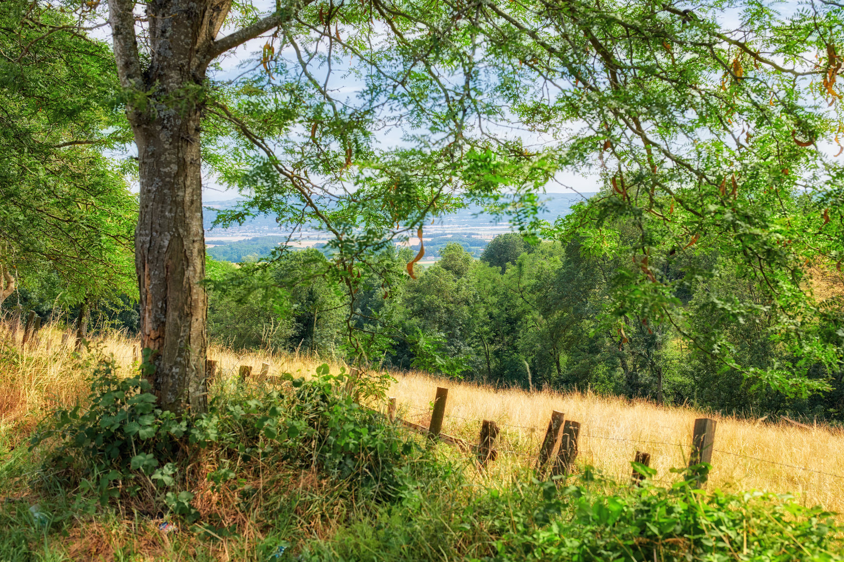 Buy stock photo A series of photos of countryside, farmland and forest close to Lyon, France