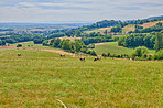 Countryside, farmland and forest - close to Lyon, France