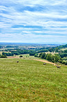 Countryside, farmland and forest - close to Lyon, France