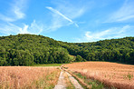 Countryside, farmland and forest - close to Lyon, France