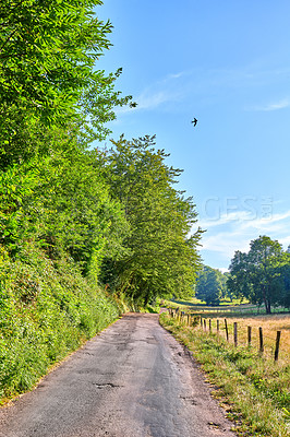 Countryside, farmland and forest - close to Lyon, France