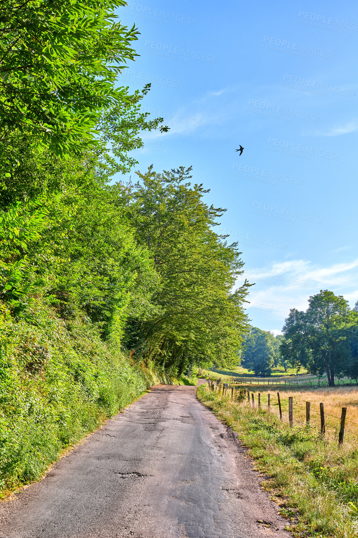 Buy stock photo A series of photos of countryside, farmland and forest close to Lyon, France