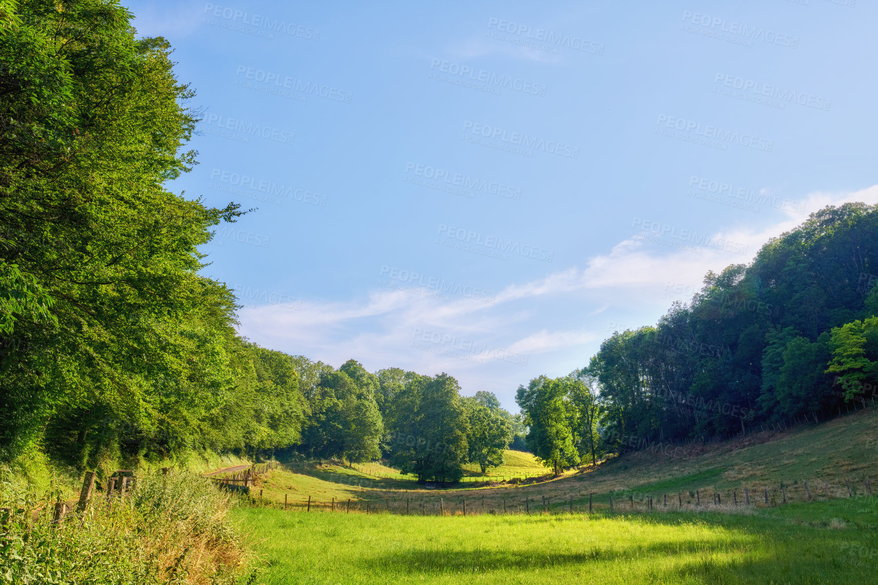 Buy stock photo Nature, vacant or landscape outdoor with space, empty area or tree growth in rural environment. Greenery, woodland or plants with blue sky, remote field or vegetation development in Australia.