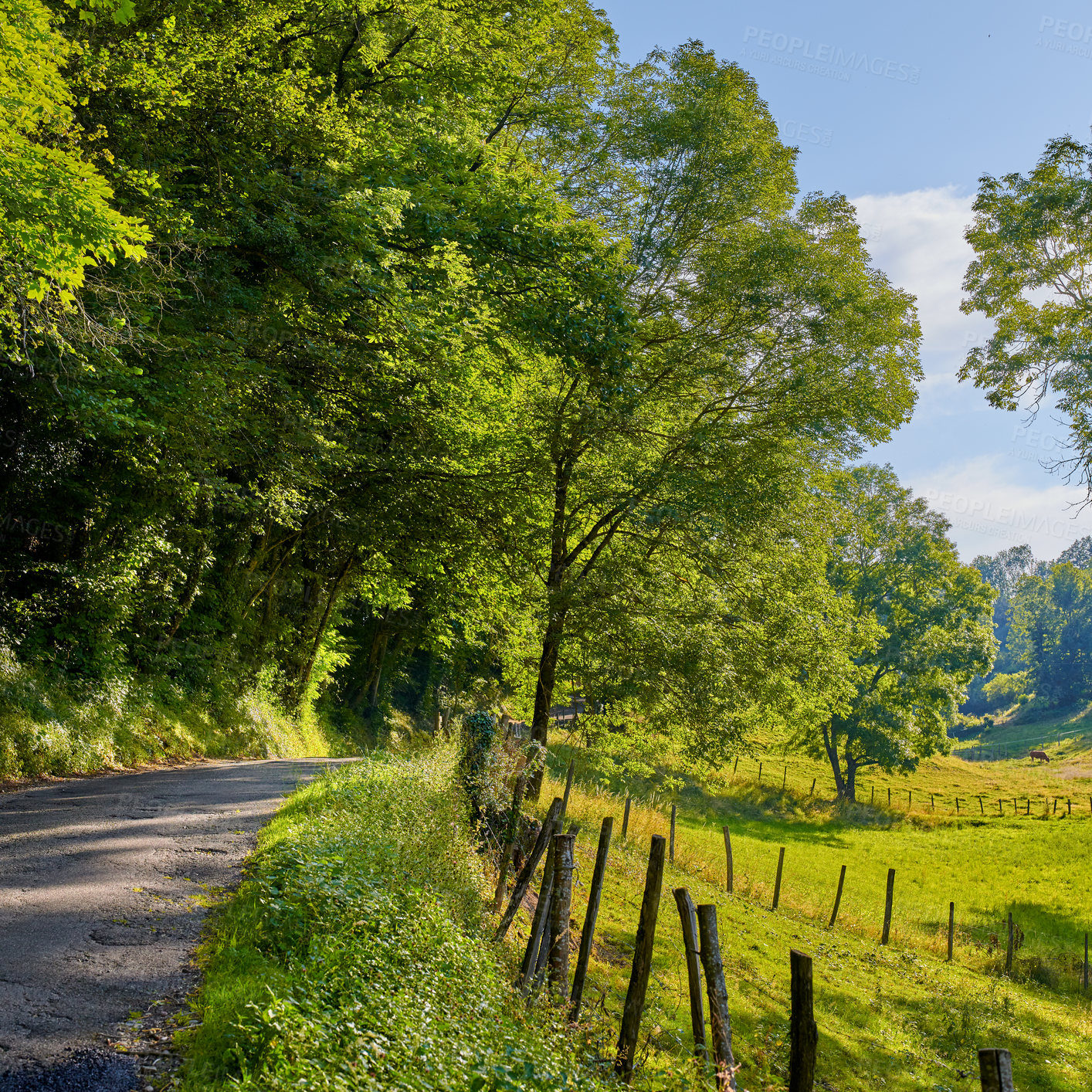 Buy stock photo A series of photos of countryside, farmland and forest close to Lyon, France