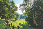 Countryside, farmland and forest - close to Lyon, France