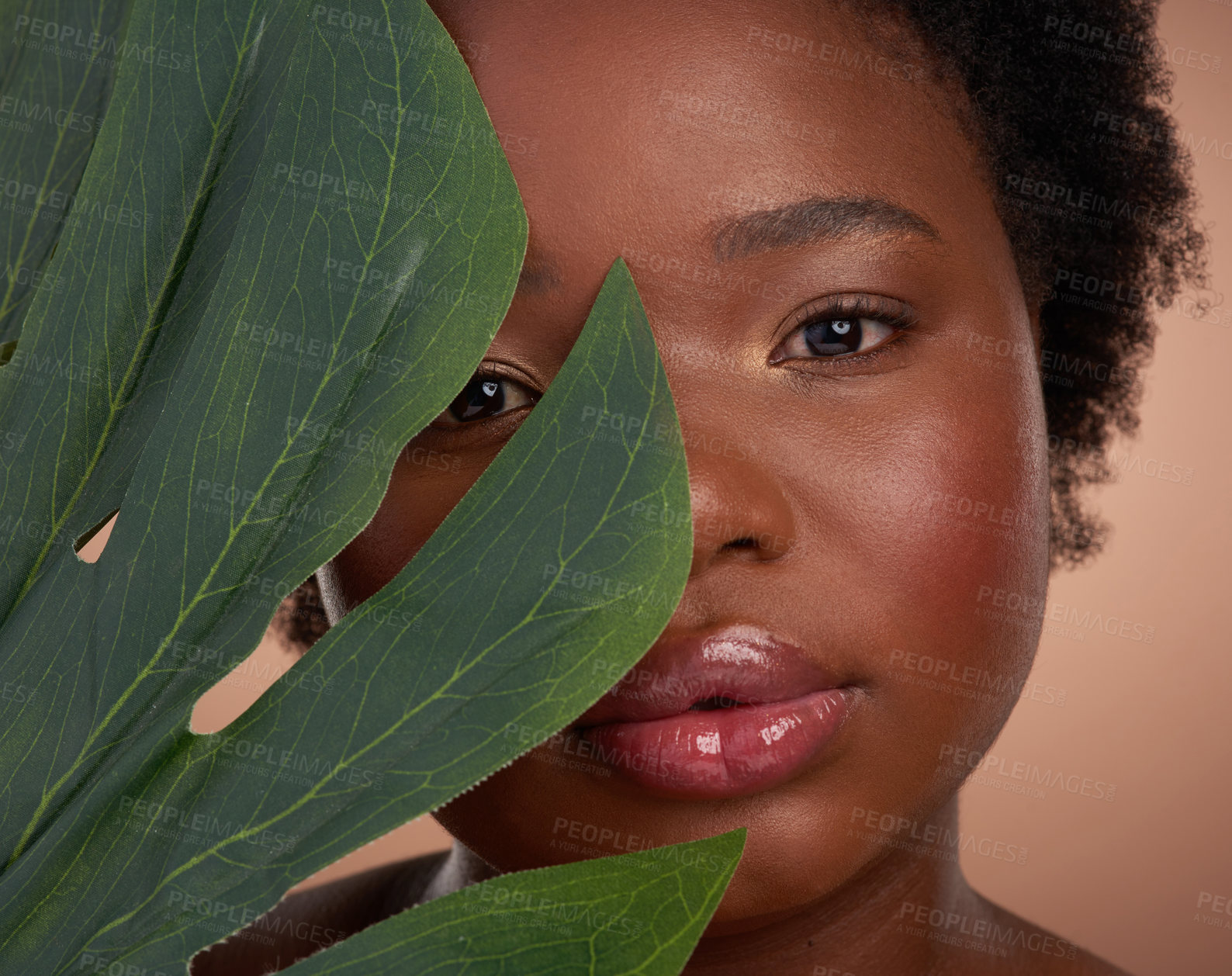 Buy stock photo Plant, portrait and black woman in studio for beauty or skincare with make up, natural cosmetics and wellness. Person, palm leaf and beige background for organic dermatology for glow or self care.