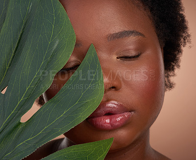 Buy stock photo Studio shot of a beautiful young woman posing with a palm leaf against a brown background