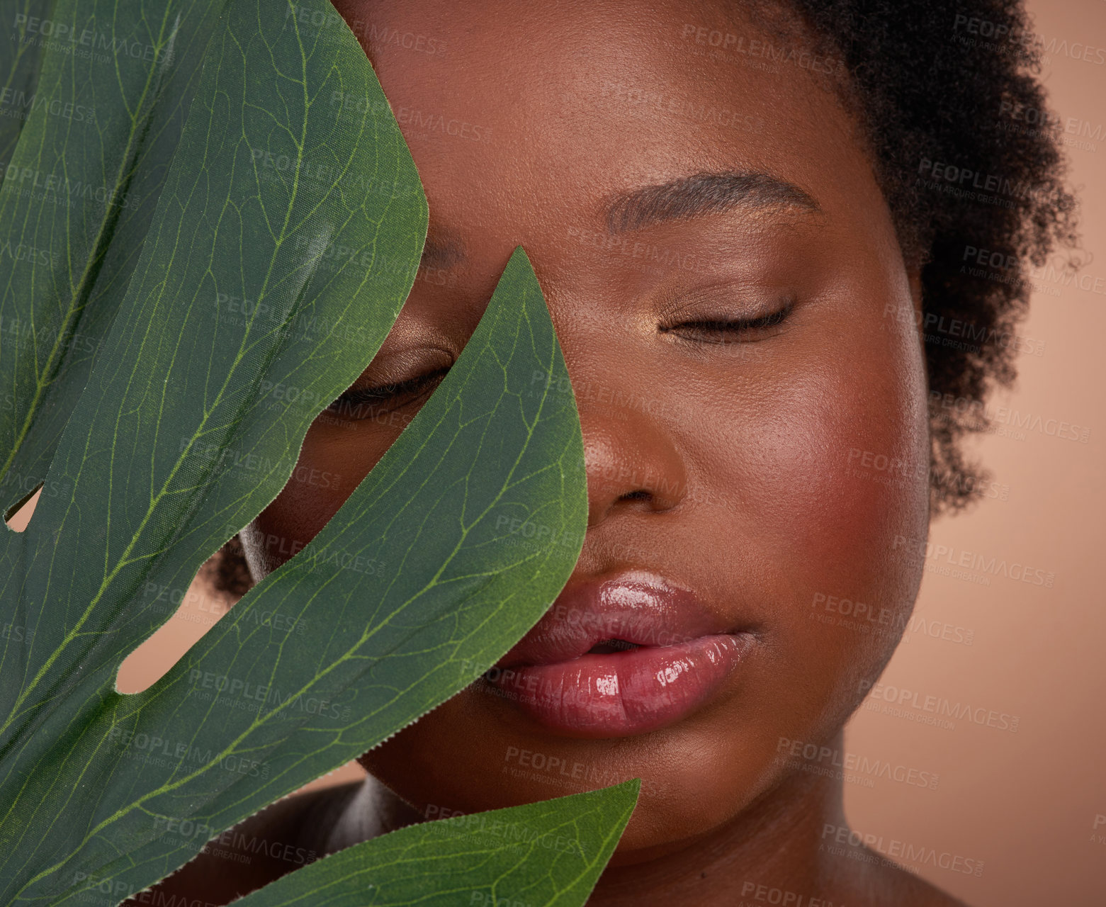 Buy stock photo Studio shot of a beautiful young woman posing with a palm leaf against a brown background