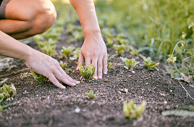 Buy stock photo Shot of a man touching the soil as he plants crops in his garden