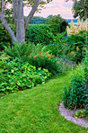 Garden dreams