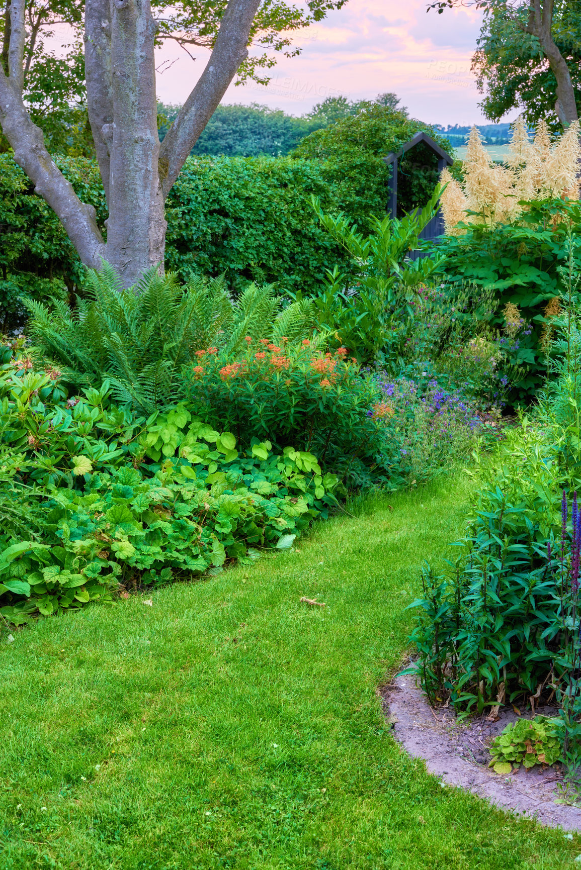 Buy stock photo Vibrant lush green nature in a peaceful, calm garden on a sunny day. Many trees, bushes and flowers growing in serene harmony. Calming views of bright lawn and floral blossoms in a park 