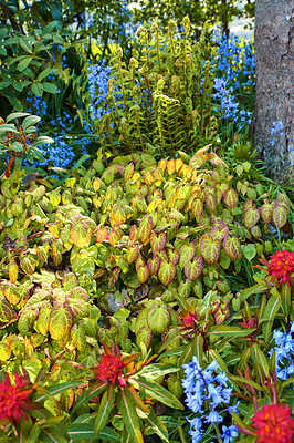 Buy stock photo A series of beautiful garden photos