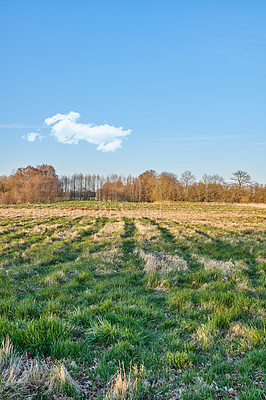 Buy stock photo Winter landscape on a farm with trees in a row against a cloudy sky copy space background over the horizon. Snowy plowed field across a beautiful countryside in nature during chilly and cold weather