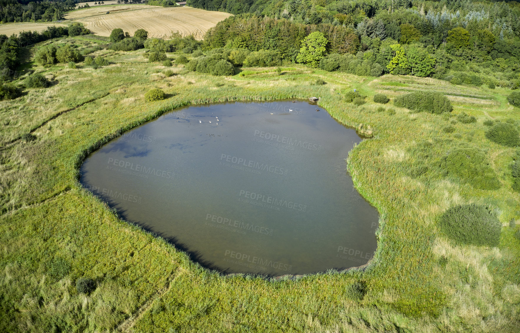 Buy stock photo Aerial view of a lake surrounded by trees and plants in the countryside during spring in Denmark. Calm and peaceful forest with a pond and lush green plants in a remote location in nature from above