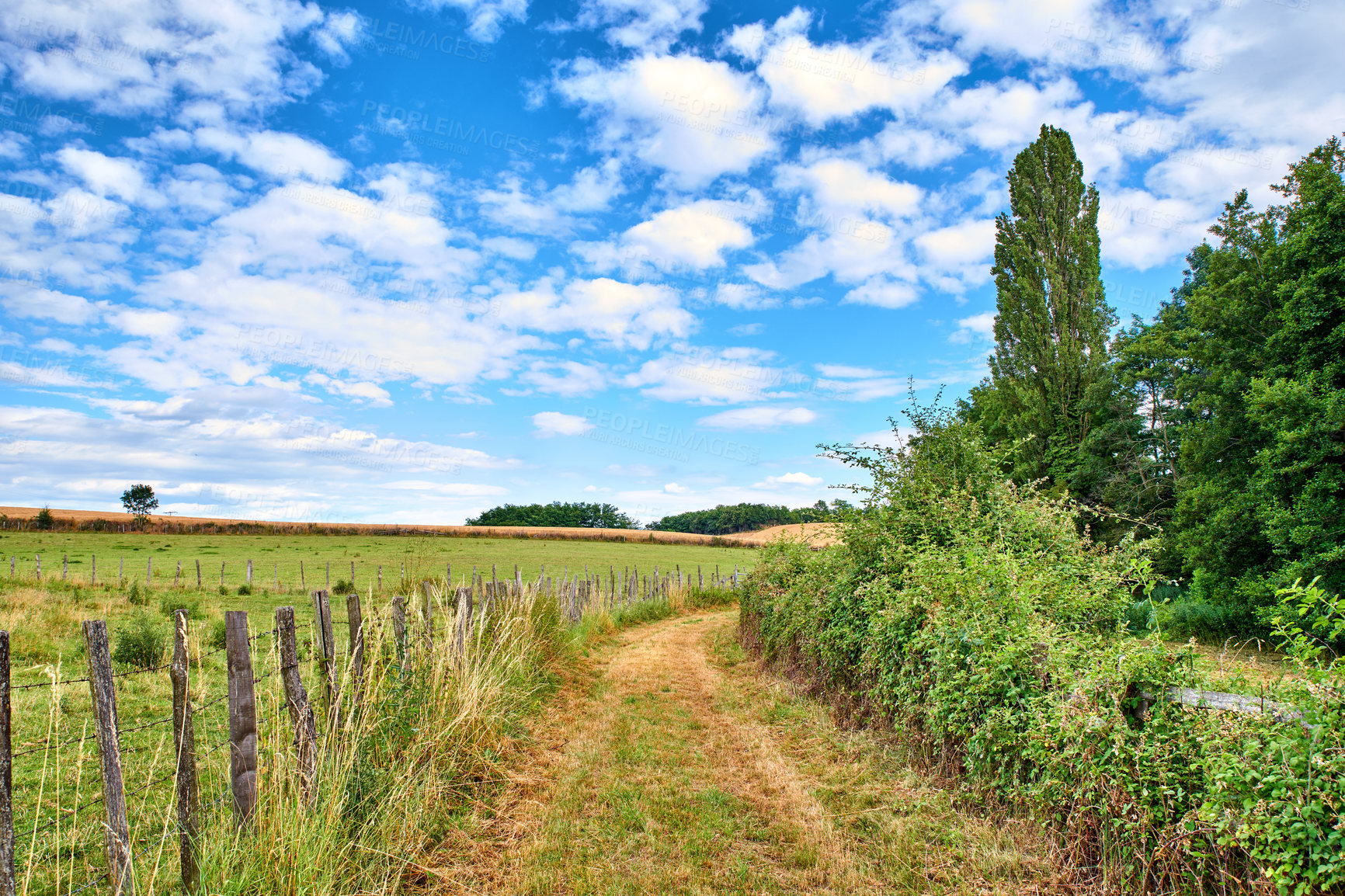 Buy stock photo A countryside dirt road leading to agriculture fields or farm pasture in remote area location with blue sky and copy space. Landscape view of quiet, lush, green scenery of farming meadows in Germany