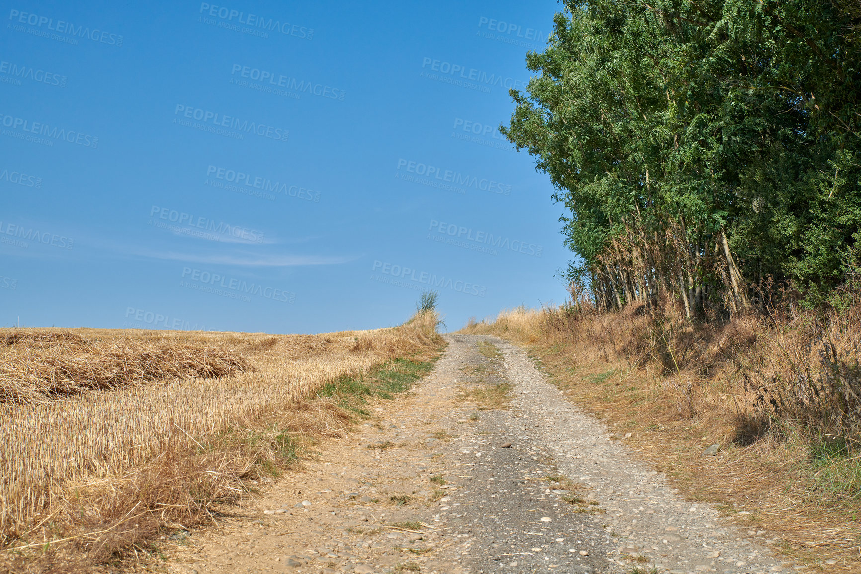 Buy stock photo A series of photos of countryside, farmland and forest close to Lyon, France