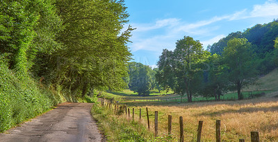 Buy stock photo Summer landscape view of big trees, small road in the countryside. A path through nature, grass, blue sky and clouds. A summer day secluded place along a neglected road and tree shade areas.