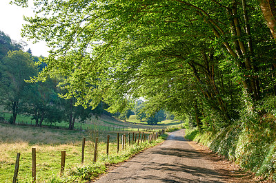 Buy stock photo Overhanging trees arching over a pathway in the countryside. Natural farmland and forest area close to Lyon, France. Green trees and vegetation outside in a natural clearing during summer or spring