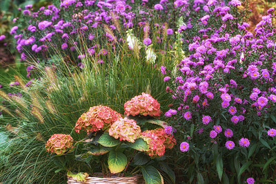 Buy stock photo A series of beautiful garden photos