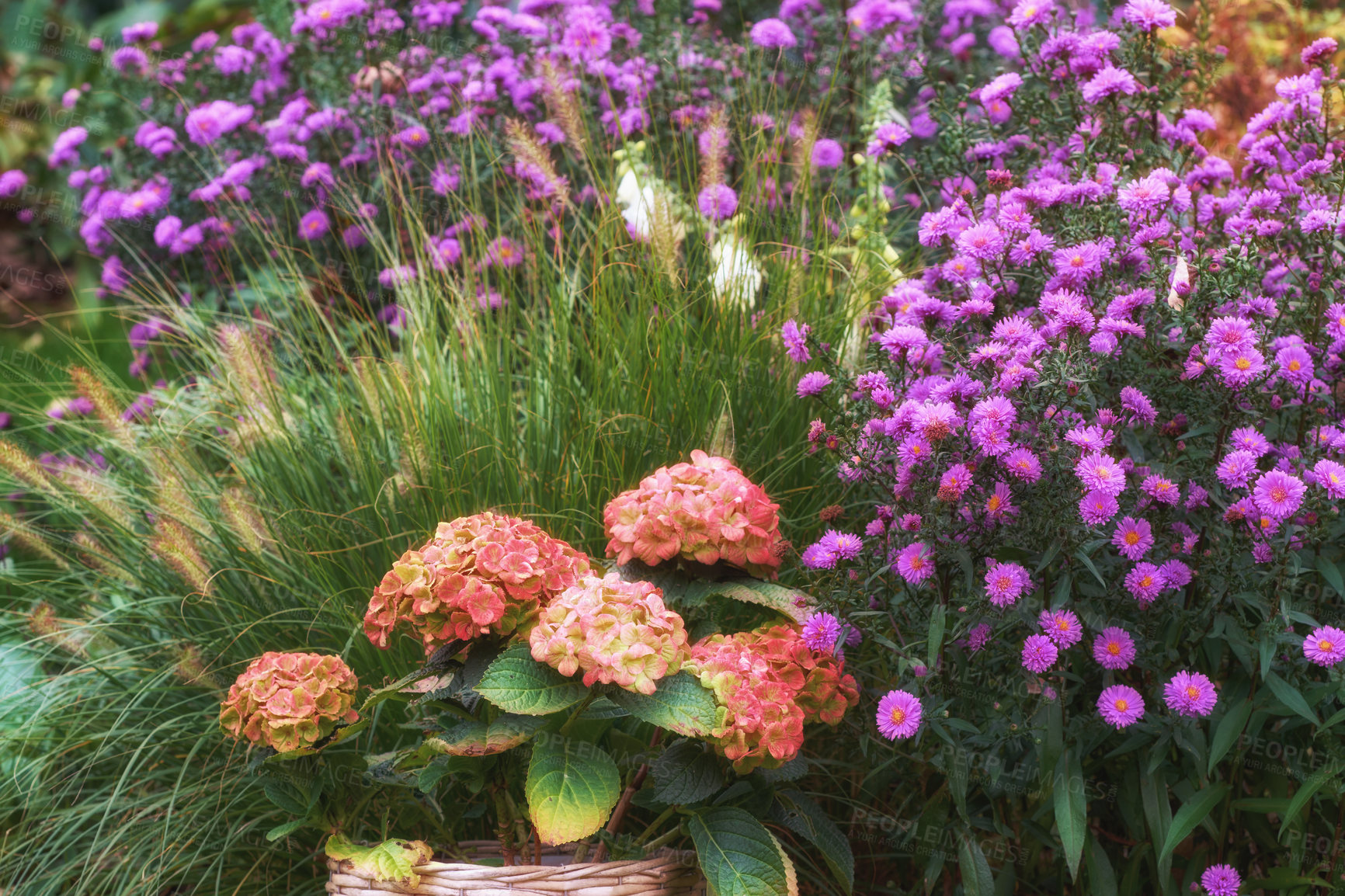 Buy stock photo A series of beautiful garden photos