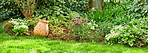 Beautiful flowers from my garden