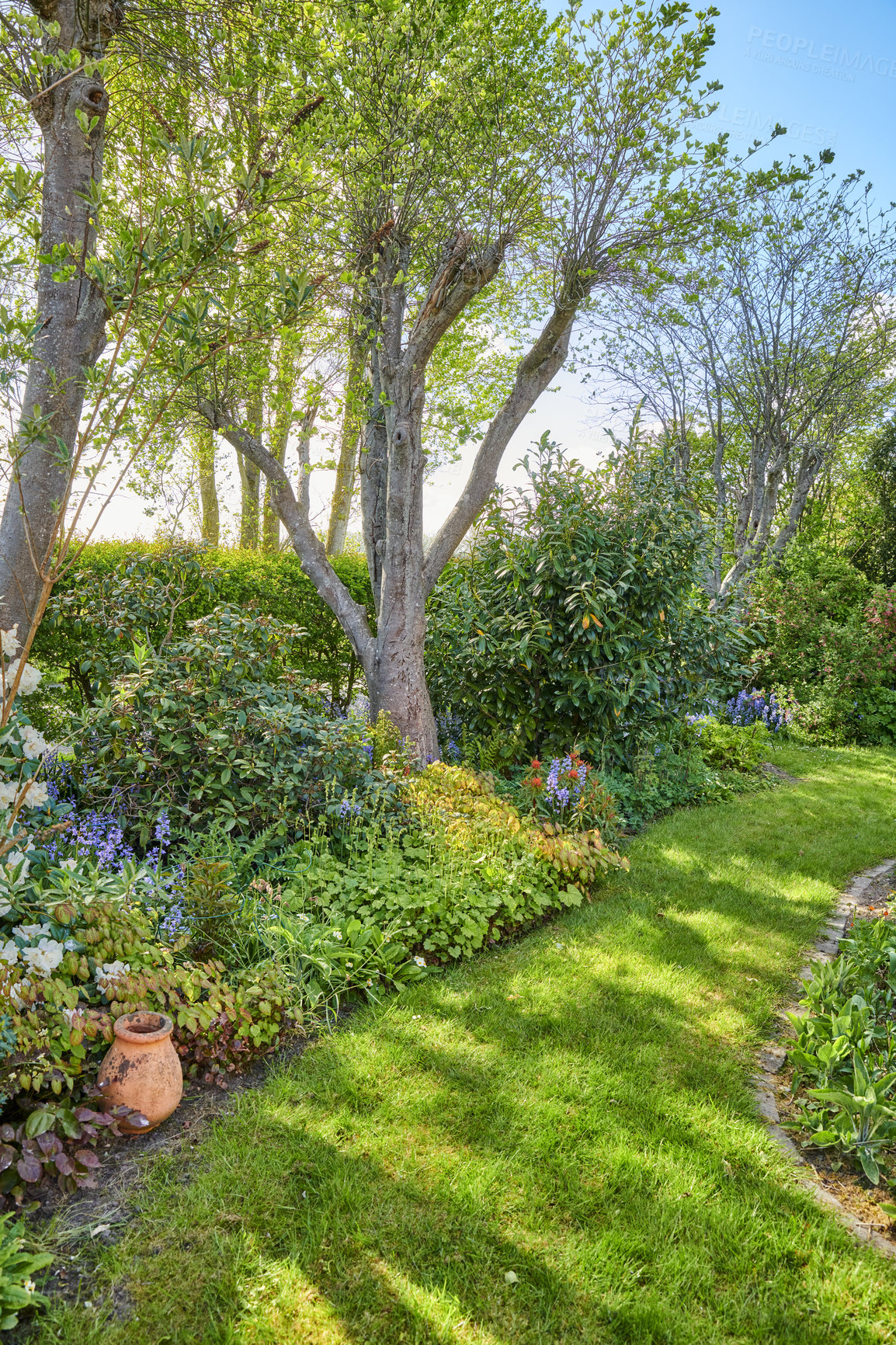 Buy stock photo Vibrant garden setting with flowers, plants and a lush lawn with green grass. Beautiful sunny outdoor yard on a relaxing day in summer. Nature view of large trees and blooming flora in a park 