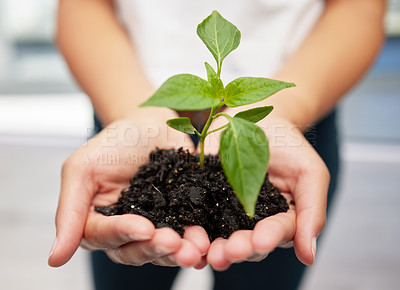 Buy stock photo Shot of an anonymous person holding a plant seedling to be planted