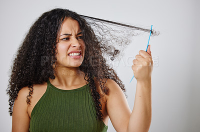 Buy stock photo Messy hair, tangle and frustrated woman with comb in studio for knot, stress and problem on grey background. Curly, haircare and model annoyed with brushing fail, damage or styling hairloss results