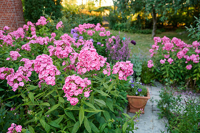 Buy stock photo A series of beautiful garden photos