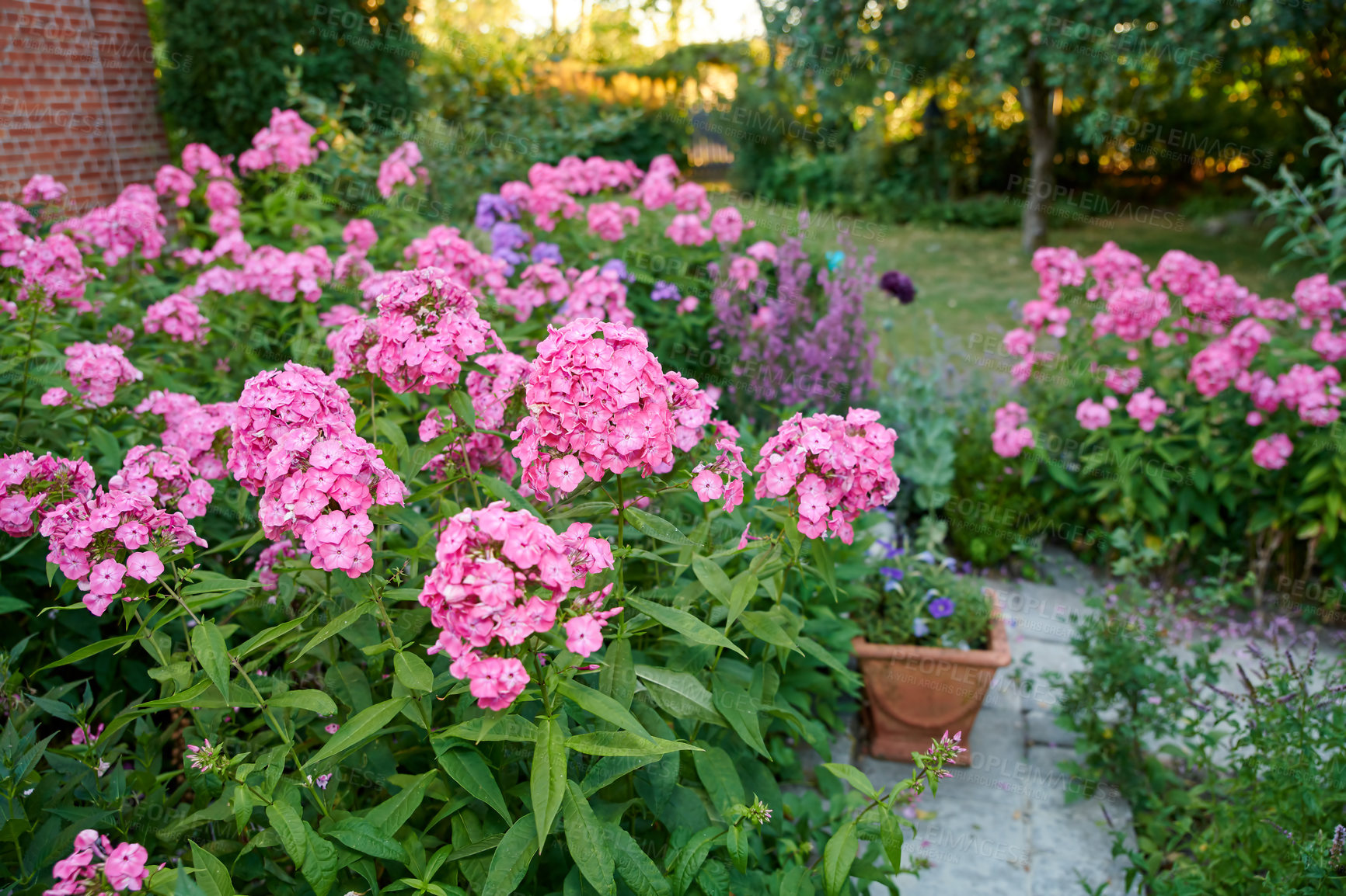 Buy stock photo A series of beautiful garden photos