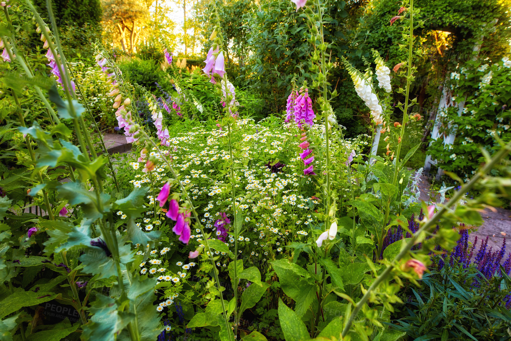 Buy stock photo A series of beautiful garden photos