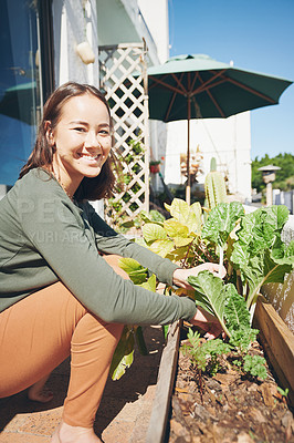 Buy stock photo Shot of a young woman harvesting food from her garden