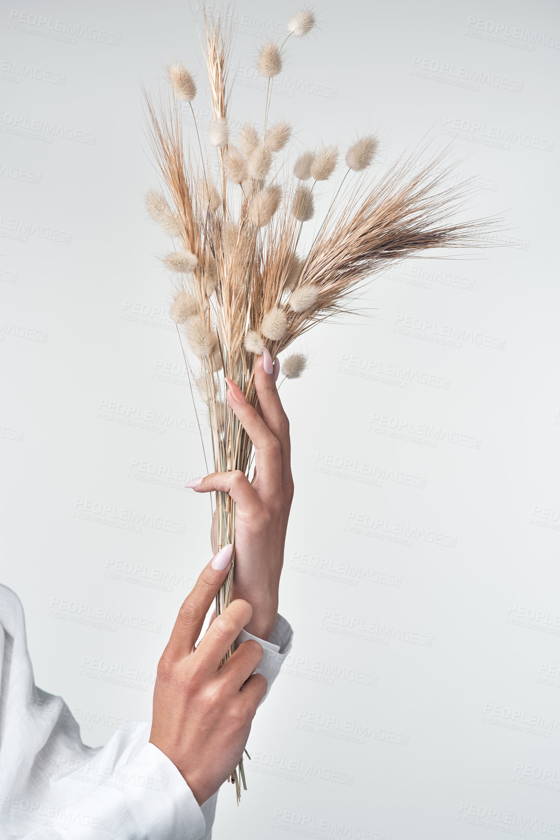 Buy stock photo Cropped shot of an unrecognizable woman holding a bunch of wheat ears