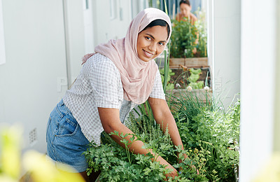 Buy stock photo Muslim woman, plant and leaf with portrait for garden, sustainable development and faith or medicine. Gardener, flowers and texture outdoor with hijab for growth, islam culture and spiritual herbs