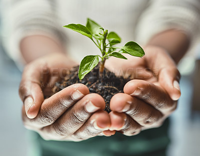 Buy stock photo Cropped shot of an unrecognizable woman holding a plant growing out of soil