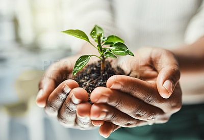Buy stock photo Person hands, soil and leaves with ecology and growth, eco friendly business with sustainability, nature and development. Closeup of plant growing, environment with new agro investment and hope
