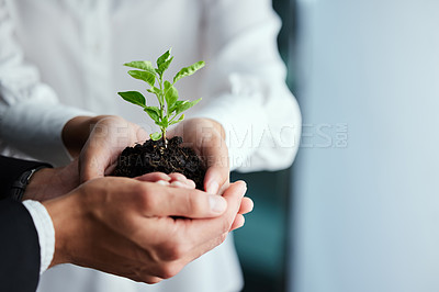 Buy stock photo People, closeup and plant in hands or together for earth day,  hope for environment or sustainability. Teamwork, tree and soil in palm for commitment to future, carbon footprint or eco friendly