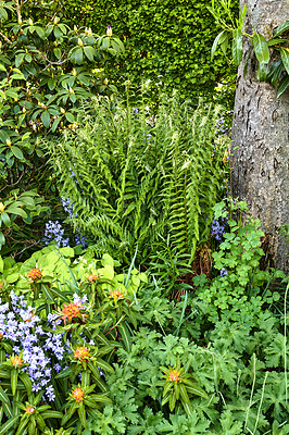 Buy stock photo A series of beautiful garden photos