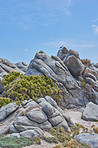 Rocky coast - West Coast National Park