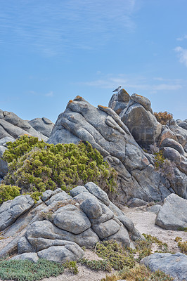 Buy stock photo Rocky coast in West Coast National Park,  Western Cape, South Africa.