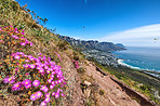 Mountain trails - Lion's Head and Table Mountaion