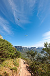 Mountain trails - Lion's Head and Table Mountaion