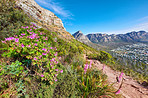 Mountain trails - Lion's Head and Table Mountaion